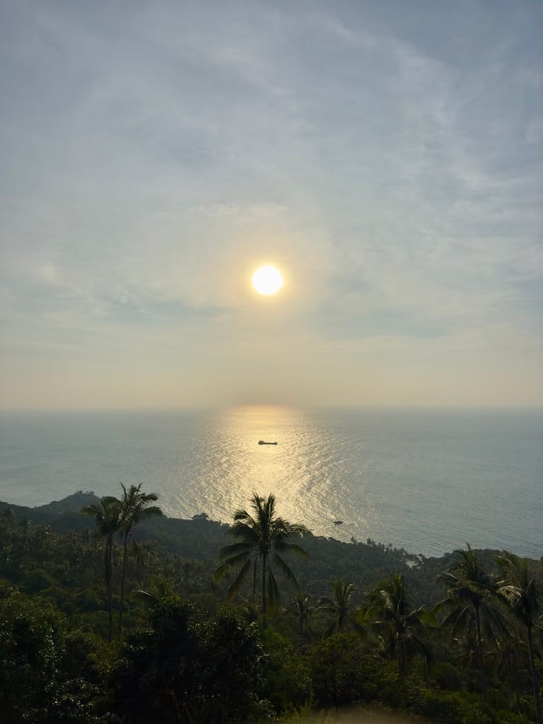 Travel Log — Chapter 2: Pandemonium in Paradise