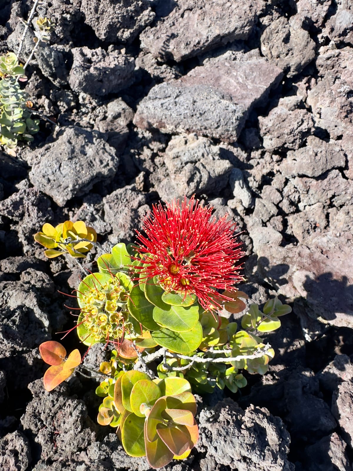 Realization Of The Week: Gratitude Is A Choice