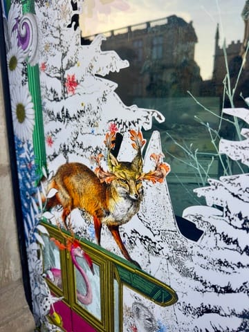 Letting Joy Lead The Way