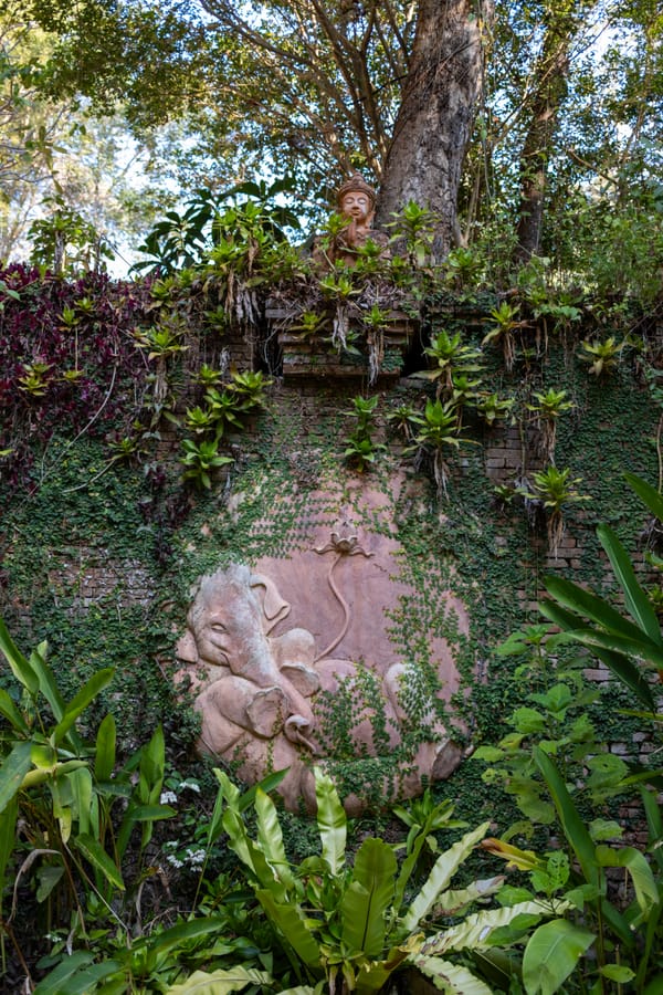 Intuition Week 1: The Practice That Unveiled My Intuition